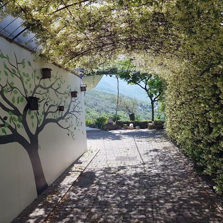 #IoniaHouse Surrel Villa Tirana Esterno foto