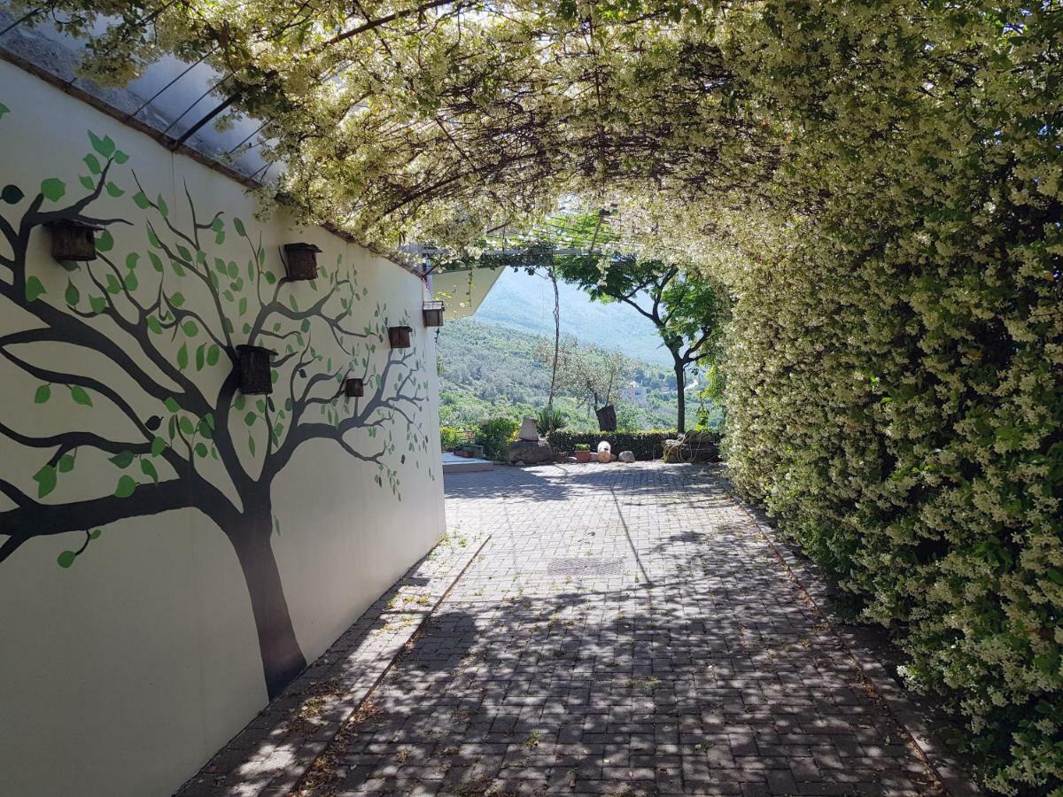 #IoniaHouse Surrel Villa Tirana Esterno foto